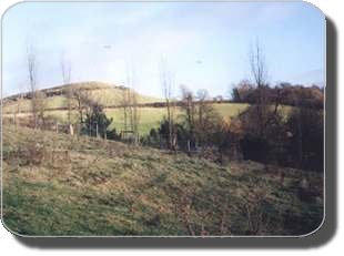 Brent Knoll