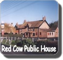 Red Cow