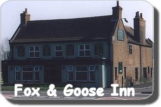 Fox and Goose