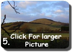 Walk Image 5