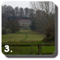 Walk Image 3