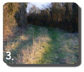 Walk Image 3
