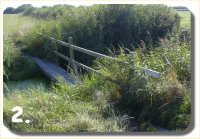 Walk Image 2
