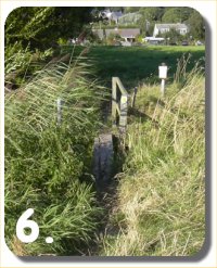 Walk Image 6