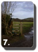 Walk Image 7