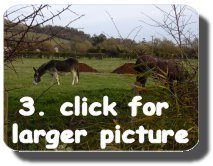 Walk Image 3