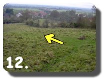 Walk Image 12