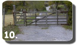 Walk Image 13
