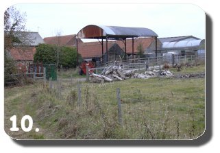 Walk Image 12