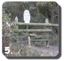 Walk Image 5