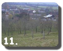 Walk Image 11