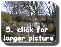 Walk Image 5