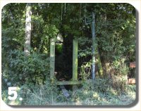 Walk Image 5