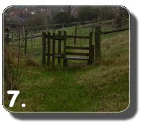 Walk Image 7