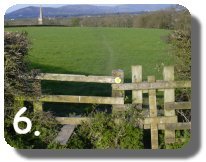 Walk Image 6