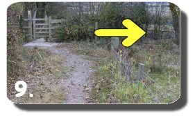 Walk Image 11
