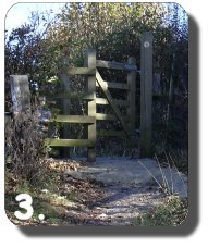 Walk Image 4