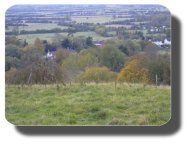 Walk Image 10