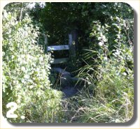 Walk Image 2