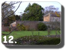 Walk Image 12